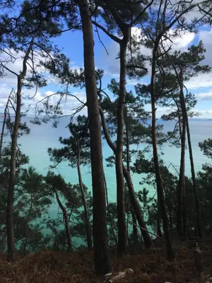 Paysage naturel près de l'appartement