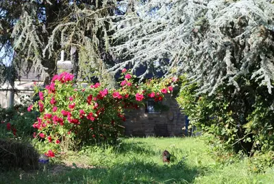 Jardin de l'établissement L'Ecrin de Pradou Glaz