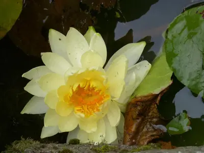 Jardin de l'établissement GITE DE CARACTERE