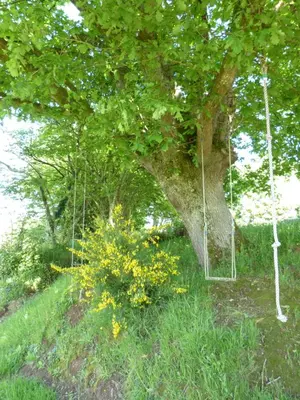Jardin de l'établissement GITE DE CARACTERE