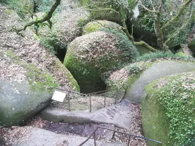 Jardin de l'établissement Petit gîte cocoon Ty Bihan Ar Feunteun