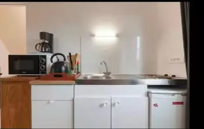 Cuisine ou kitchenette dans l'établissement Envol du Phénix - Studio Phenix 20 m² avec jardin