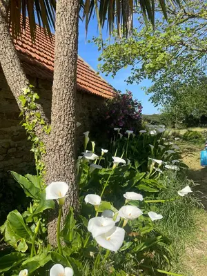 Jardin de l'établissement fermette