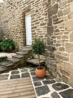 Plan de l'établissement Maison près de l'Océan