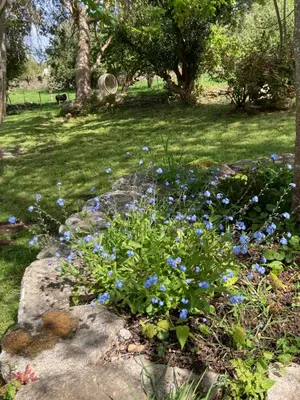 Jardin de l'établissement Maison près de l'Océan