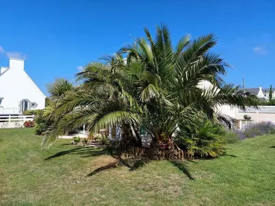 Jardin de l'établissement Holiday Home in Plouhinec by Audierne Bay