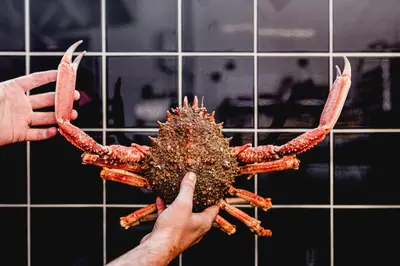 Animaux dans l'hôtel ou à proximité
