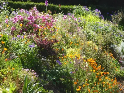 Jardin de l'établissement Kerlogan