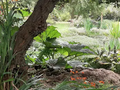 Jardin de l'établissement la maison des lavandières
