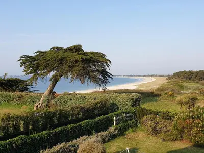 Paysage naturel près de la maison de vacances