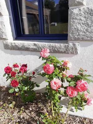 Jardin de l'établissement chambre d'hôtes LE CLOS DES ABERS
