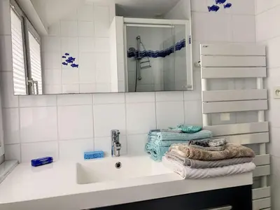Salle de bains dans l'établissement Superbe maison avec jardin, proche plage, chiens admis - FR-1-542-25