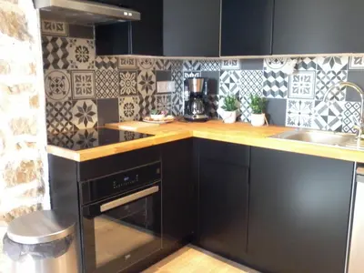 Cuisine ou kitchenette dans l'établissement appartement topaze