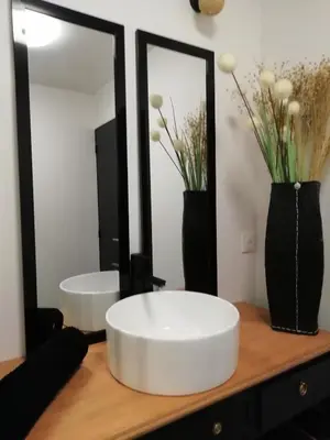 Salle de bains dans l'établissement appartement topaze