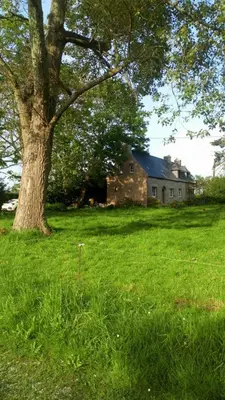 Jardin de l'établissement Gîte du manoir de Keryvoas
