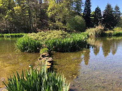 Paysage naturel près de la maison de vacances