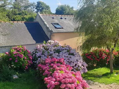 Jardin de l'établissement Holiday Home Ty va Zud by Interhome