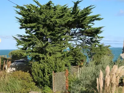 Paysage naturel près de la maison de vacances