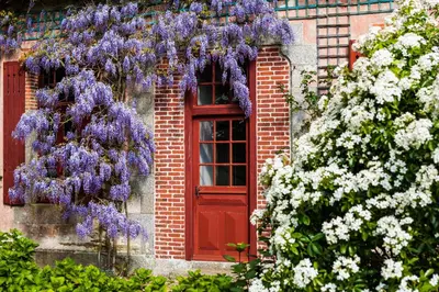 Jardin de l'établissement Le Petit Manoir de Kériolet