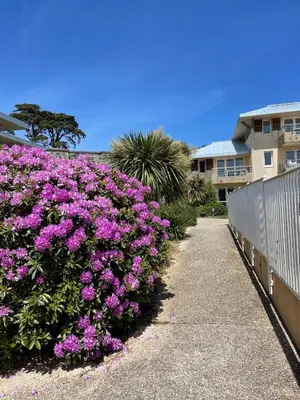 Jardin de l'établissement Appartement cosy les pieds dans l’eau, vue mer exceptionnelle