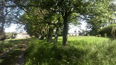Jardin de l'établissement Petite maison du manoir de Keryvoas