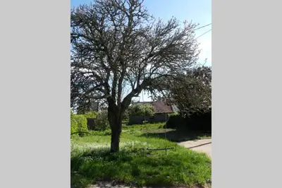 Jardin de l'établissement Maison près de la Pointe du Raz