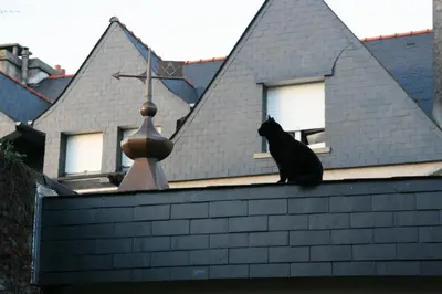 Animal ou animaux domestique(s) séjournant avec des clients dans l'établissement Le Magasin à Sel