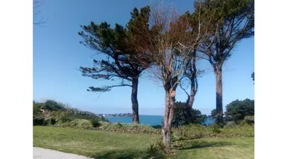 Paysage naturel près de le camping