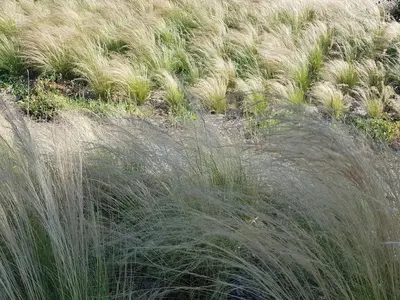 Plan de l'établissement Penty bigouden 18ème classé 2** jardin en ville