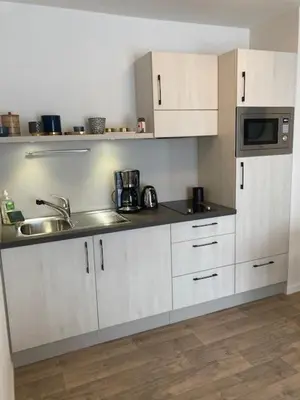 Cuisine ou kitchenette dans l'établissement Domitys Les Houblons
