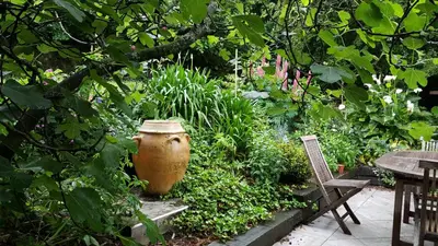 Jardin de l'établissement A L'Ombre Du Figuier