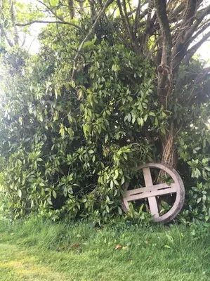 Jardin de l'établissement AN GOVEL