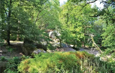Paysage naturel près de la maison de vacances
