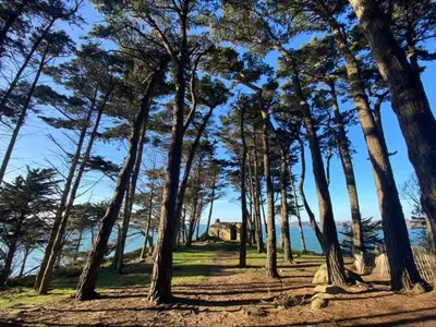 Paysage naturel près de la maison de vacances