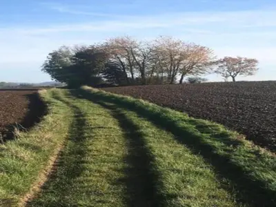 Paysage naturel près de la maison de vacances