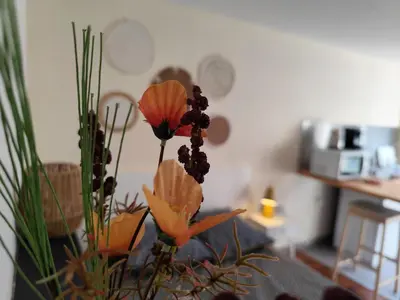 Cuisine ou kitchenette dans l'établissement LE NID 2 QUIMPER BY Nid'Ouest