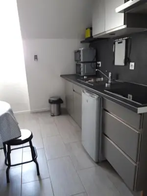 Cuisine ou kitchenette dans l'établissement Les Apparts' Hotel du Canal