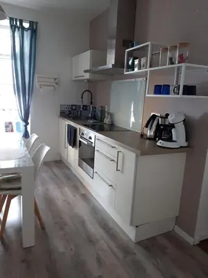 Cuisine ou kitchenette dans l'établissement Les Apparts' Hotel du Canal