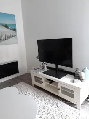 Télévision ou salle de divertissement dans l'établissement Les Apparts' Hotel du Canal