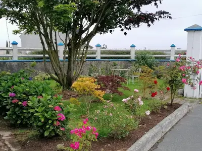 Jardin de l'établissement LES HAUTS VENTS