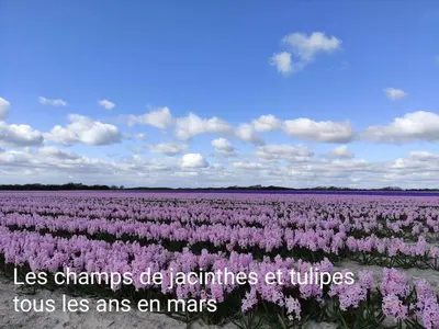 Paysage naturel près de l'appartement
