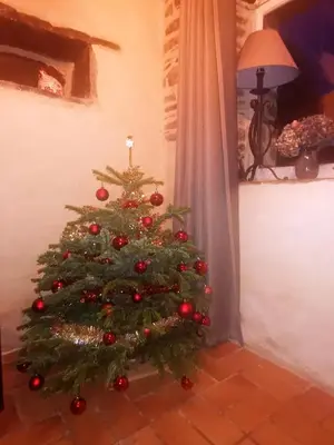 Plan de l'établissement Petite maison dans les Monts d'Arrée TY COZ
