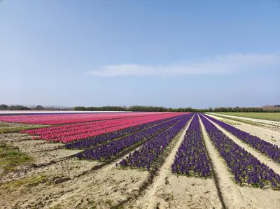 Paysage naturel près de le séjour chez l'habitant