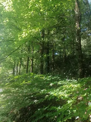 Paysage naturel près de l'appartement
