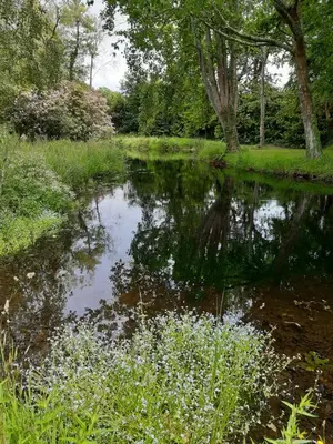 Paysage naturel près de l'appartement