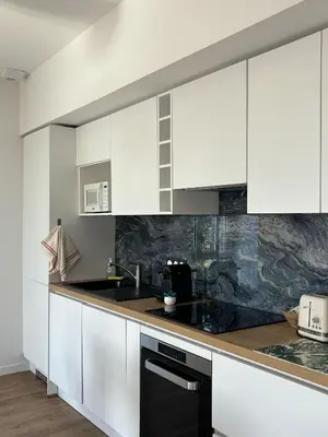 Cuisine ou kitchenette dans l'établissement Maison de Kerangall Brest appartement jardin et parking