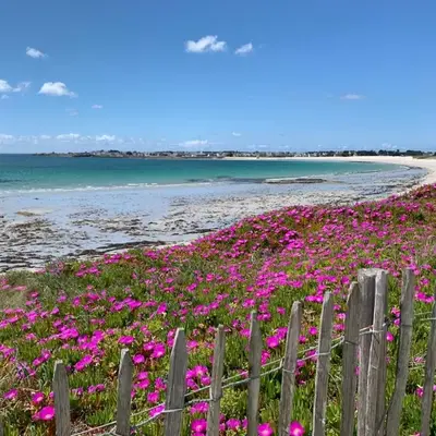 La Maison Des Sables Blancs