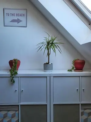 Plan de l'établissement Charmant appartement proche commerces et plages