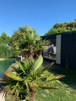 Jardin de l'établissement Brown
