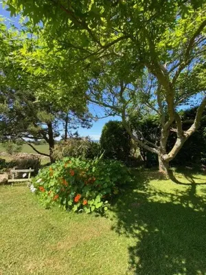 Jardin de l'établissement La Maison de Lésa